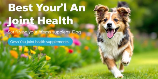 Happy dog playing in a vibrant outdoor setting.