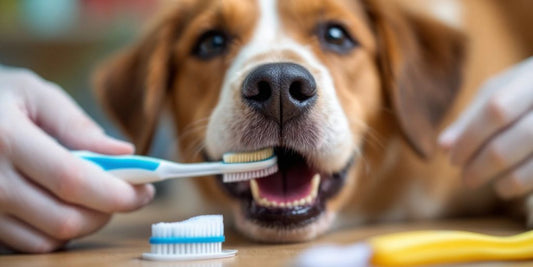 Dog enjoying gentle teeth cleaning with a toothbrush.