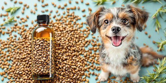 Bottle of flax oil with flax seeds and a dog.