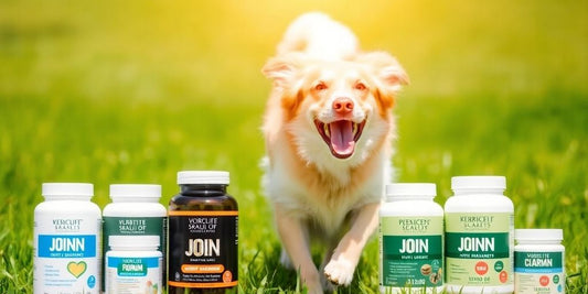 Happy dog playing with joint supplements in a field.