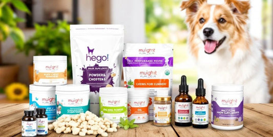 Colorful dog supplements with a healthy dog in background.