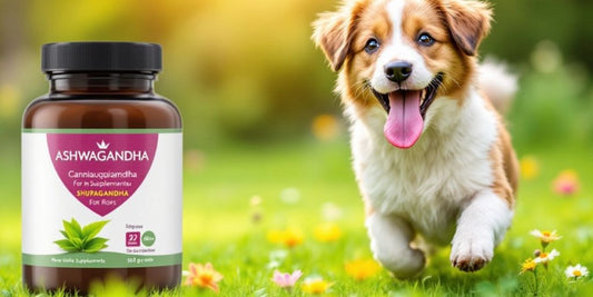 Healthy dog in green grass, enjoying outdoor wellness.